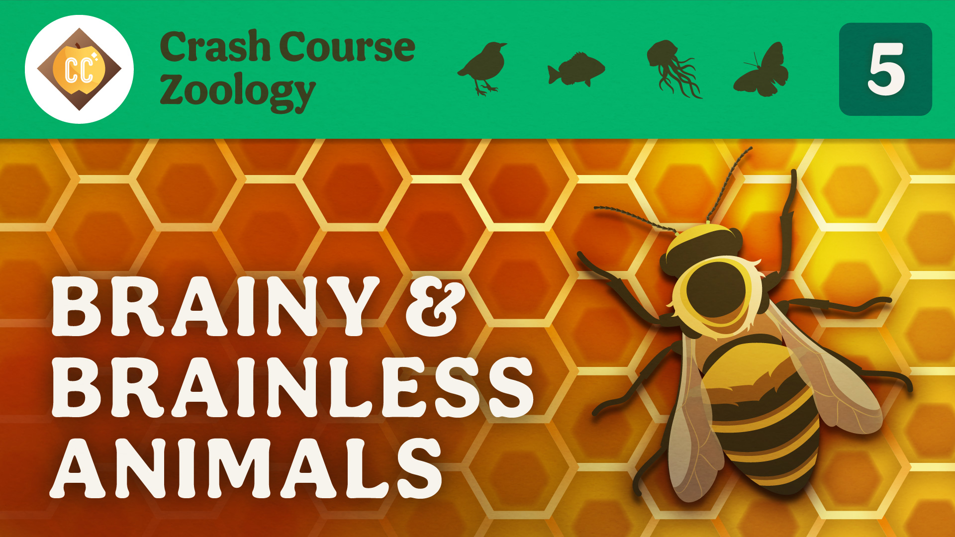 crash-course-zoology