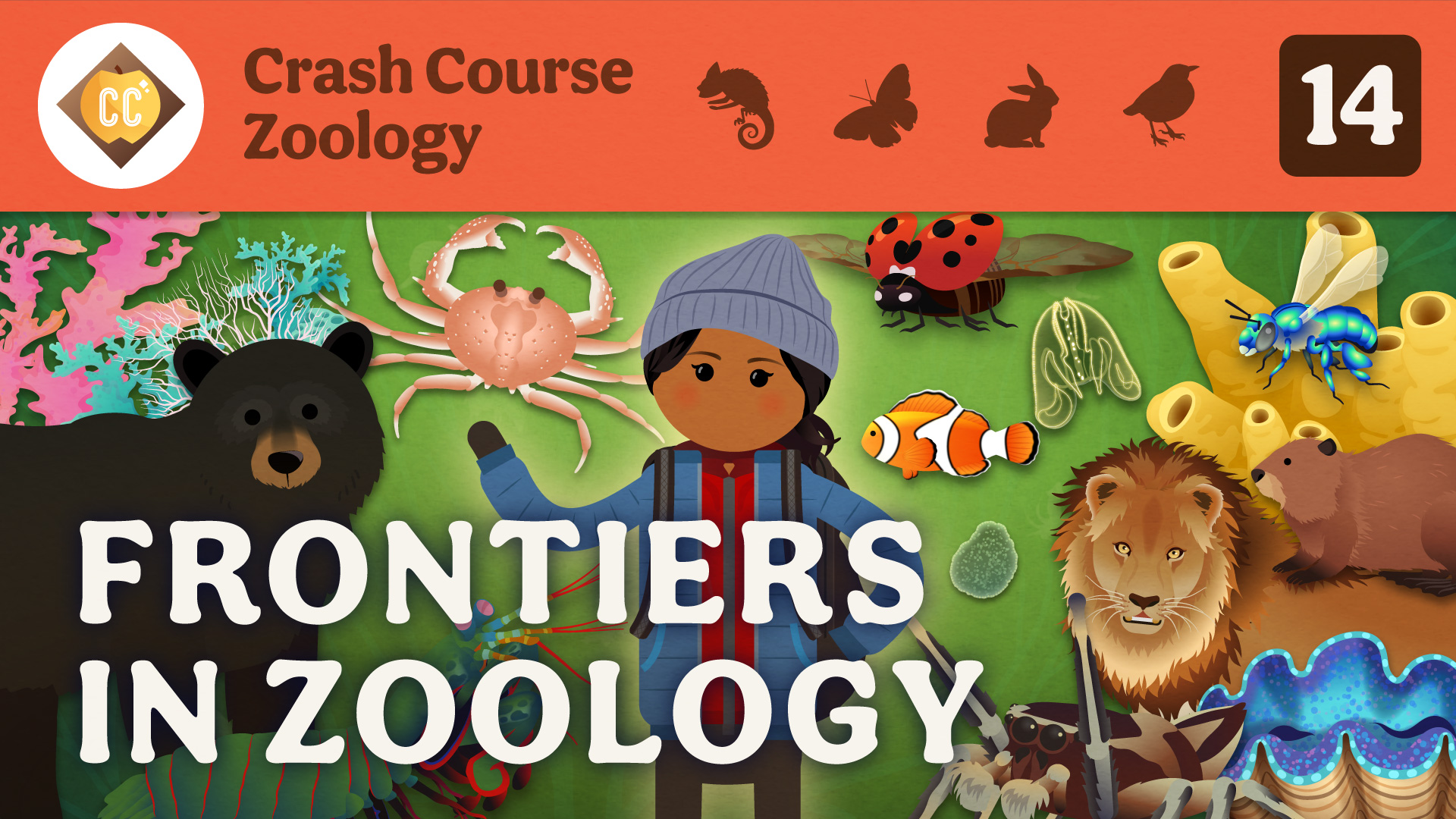 Crash Course Zoology