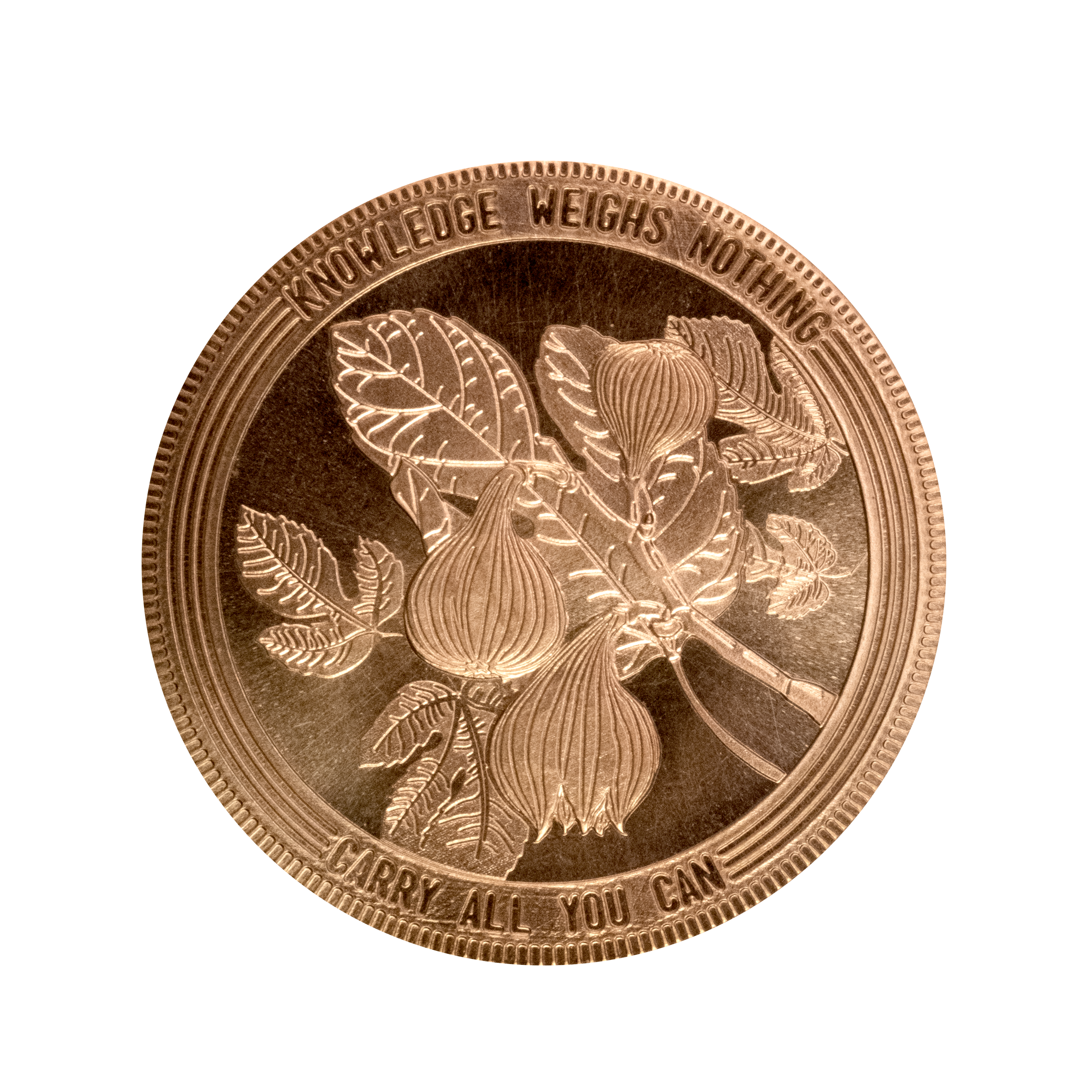 BackOf2000coin-square-1309887db03ca58a52f46a7efa6f8f38-t0dqbpfuyav5 The Crash Course Coin